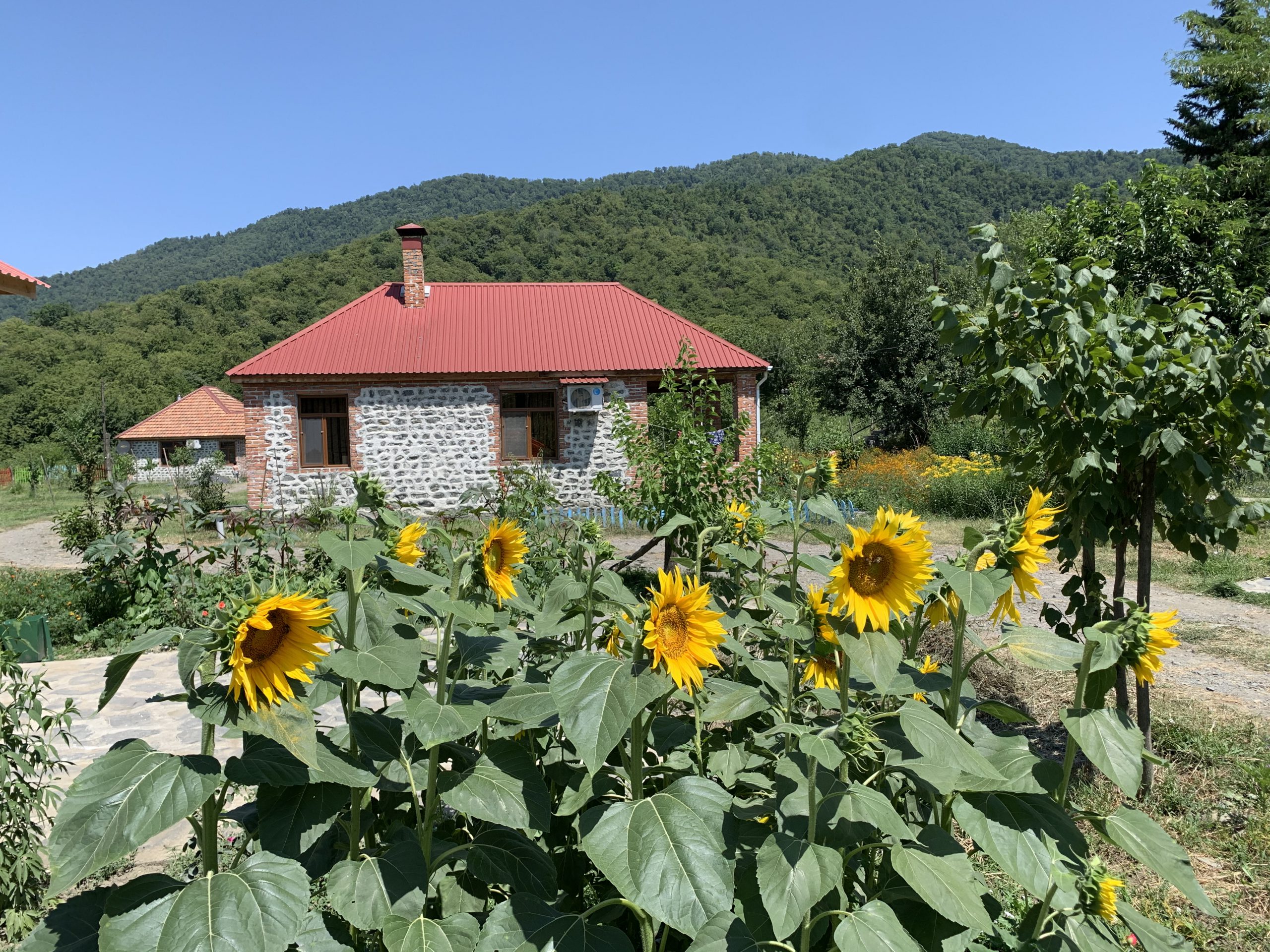 HOPE LAKE Guest House Zakatala